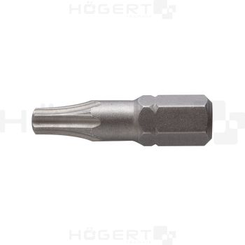Screwdriver Bit 1/4'' L=25.0mm TORX-40 2pcs/bl. HT1S367 HÖGERT